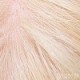 Blonde implanted hair  + $350.00 
