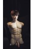 Muscle Type Torso Male Love Doll Realing Luofan 82cm Silicone Head + TPE Body