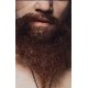 Beard #3  + $100.00 