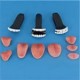 Teeth A  + $80.00 