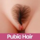 Pubic Hair  + $50.00 